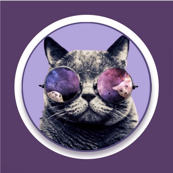 Meet your Posher, Posh Cheeky - Picture 5 of 7